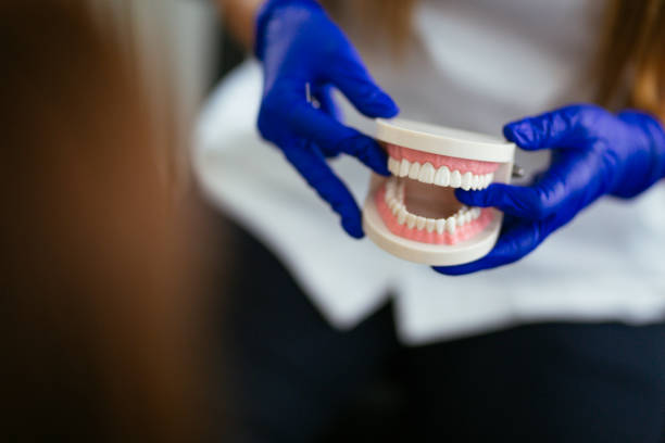 Best Full Mouth Reconstruction  in South Roxana, IL