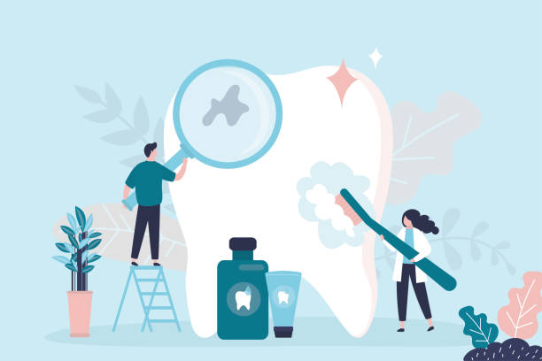 Professional  Holistic Dental Services in South Roxana, IL